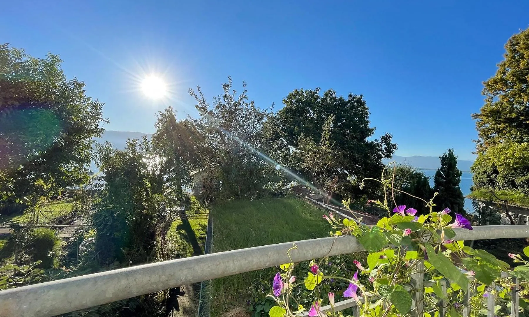 Idylle Am See - Idyllisch Auf Der Insel Mit Balkon Und Seesicht Und Direkter Seelage Lindau  Apartment